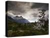 The Torres Del Paine Mountains on a Cloudy Day-Alex Saberi-Stretched Canvas