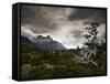 The Torres Del Paine Mountains on a Cloudy Day-Alex Saberi-Framed Stretched Canvas