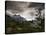 The Torres Del Paine Mountains on a Cloudy Day-Alex Saberi-Stretched Canvas