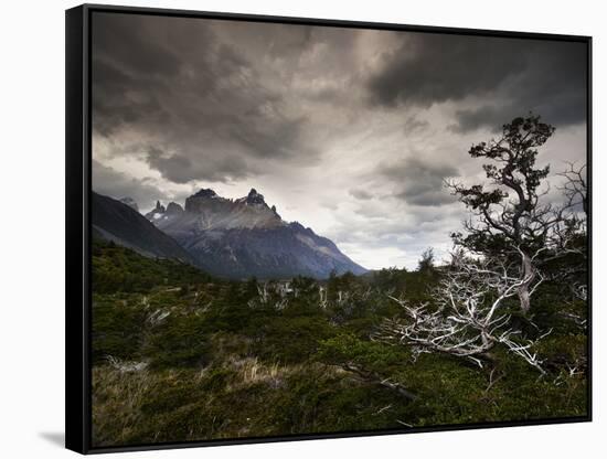 The Torres Del Paine Mountains on a Cloudy Day-Alex Saberi-Framed Stretched Canvas