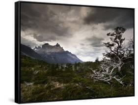 The Torres Del Paine Mountains on a Cloudy Day-Alex Saberi-Framed Stretched Canvas