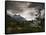 The Torres Del Paine Mountains on a Cloudy Day-Alex Saberi-Framed Stretched Canvas