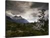 The Torres Del Paine Mountains on a Cloudy Day-Alex Saberi-Stretched Canvas