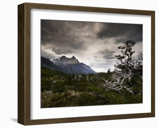 The Torres Del Paine Mountains on a Cloudy Day-Alex Saberi-Framed Photographic Print