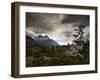 The Torres Del Paine Mountains on a Cloudy Day-Alex Saberi-Framed Photographic Print