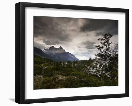 The Torres Del Paine Mountains on a Cloudy Day-Alex Saberi-Framed Photographic Print