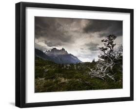 The Torres Del Paine Mountains on a Cloudy Day-Alex Saberi-Framed Photographic Print