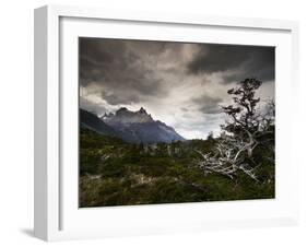 The Torres Del Paine Mountains on a Cloudy Day-Alex Saberi-Framed Photographic Print