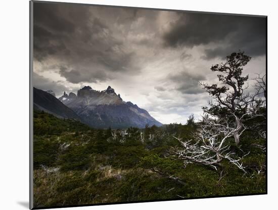 The Torres Del Paine Mountains on a Cloudy Day-Alex Saberi-Mounted Photographic Print