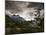The Torres Del Paine Mountains on a Cloudy Day-Alex Saberi-Mounted Photographic Print