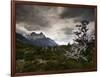 The Torres Del Paine Mountains on a Cloudy Day-Alex Saberi-Framed Photographic Print