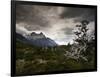 The Torres Del Paine Mountains on a Cloudy Day-Alex Saberi-Framed Photographic Print