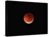 The Totality Phase of a Lunar Eclipse During the 2010 Solstice-Stocktrek Images-Stretched Canvas