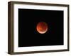 The Totality Phase of a Lunar Eclipse During the 2010 Solstice-Stocktrek Images-Framed Photographic Print