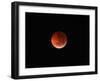 The Totality Phase of a Lunar Eclipse During the 2010 Solstice-Stocktrek Images-Framed Photographic Print