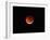 The Totality Phase of a Lunar Eclipse During the 2010 Solstice-Stocktrek Images-Framed Photographic Print