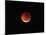 The Totality Phase of a Lunar Eclipse During the 2010 Solstice-Stocktrek Images-Mounted Photographic Print