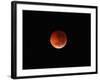 The Totality Phase of a Lunar Eclipse During the 2010 Solstice-Stocktrek Images-Framed Photographic Print