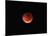 The Totality Phase of a Lunar Eclipse During the 2010 Solstice-Stocktrek Images-Mounted Photographic Print