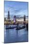 The Tower Bridge in London Seen from the East at Dusk, London, England-David Bank-Mounted Photographic Print