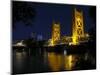 The Tower Bridge of Sacramento at Night, CA-George Oze-Mounted Photographic Print