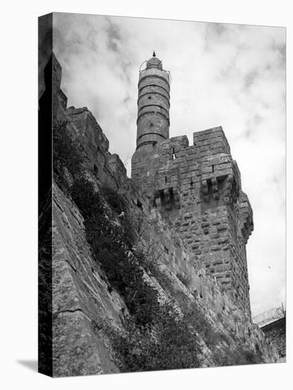 The Tower of David-null-Stretched Canvas