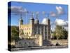 The Tower of London, London,England, UK-Ivan Vdovin-Stretched Canvas