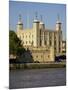 The Tower of London, UNESCO World Heritage Site, London, England, United Kingdom, Europe-Simon Montgomery-Mounted Photographic Print