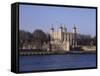 The Tower of London, Unesco World Heritage Site, London, England, United Kingdom-David Hughes-Framed Stretched Canvas