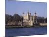 The Tower of London, Unesco World Heritage Site, London, England, United Kingdom-David Hughes-Mounted Photographic Print