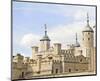 The Tower of London-null-Mounted Art Print