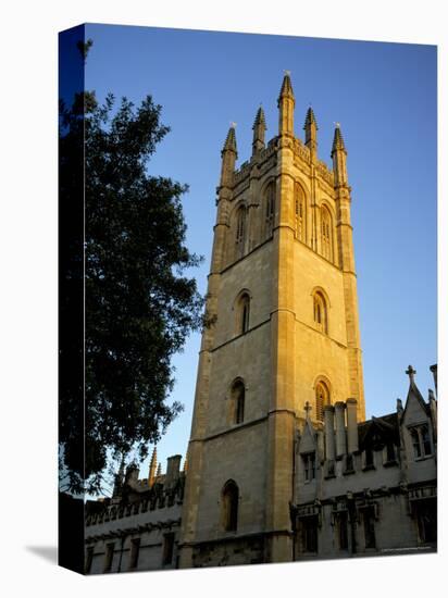 The Tower of Magdalen College at Sunrise, Oxford, Oxfordshire, England, United Kingdom-Ruth Tomlinson-Stretched Canvas