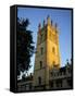 The Tower of Magdalen College at Sunrise, Oxford, Oxfordshire, England, United Kingdom-Ruth Tomlinson-Framed Stretched Canvas