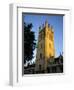 The Tower of Magdalen College at Sunrise, Oxford, Oxfordshire, England, United Kingdom-Ruth Tomlinson-Framed Photographic Print