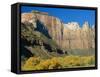 The Towers of the Virgin, Zion National Park, Utah, USA-Ruth Tomlinson-Framed Stretched Canvas