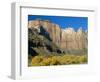 The Towers of the Virgin, Zion National Park, Utah, USA-Ruth Tomlinson-Framed Photographic Print