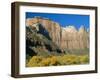 The Towers of the Virgin, Zion National Park, Utah, USA-Ruth Tomlinson-Framed Photographic Print