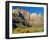 The Towers of the Virgin, Zion National Park, Utah, USA-Ruth Tomlinson-Framed Photographic Print