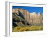 The Towers of the Virgin, Zion National Park, Utah, USA-Ruth Tomlinson-Framed Photographic Print