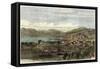 The Town and Port of Wellington, Capital of New Zealand, C1880-null-Framed Stretched Canvas