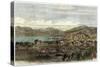 The Town and Port of Wellington, Capital of New Zealand, C1880-null-Stretched Canvas