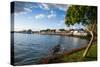 The Town of Lahaina, Maui, Hawaii, United States of America, Pacific-Michael-Stretched Canvas