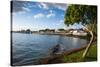 The Town of Lahaina, Maui, Hawaii, United States of America, Pacific-Michael-Stretched Canvas