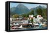 The town of Sitka & the spectacular mountains of Baranof Island, Southeast Alaska-Mark A Johnson-Framed Stretched Canvas