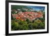 The town of Ston from the Great Wall, Ston, Dalmatian Coast, Croatia-Russ Bishop-Framed Photographic Print