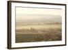 The Town of Tinerhir Soon after Sunrise, Smoke Rising from the Streets and Traditional Houses-Lee Frost-Framed Photographic Print