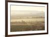 The Town of Tinerhir Soon after Sunrise, Smoke Rising from the Streets and Traditional Houses-Lee Frost-Framed Photographic Print