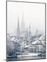 The Town of Zug on a Misty Winter Day, Zug, Switzerland, Europe-John Woodworth-Mounted Photographic Print