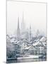 The Town of Zug on a Misty Winter Day, Zug, Switzerland, Europe-John Woodworth-Mounted Photographic Print