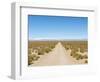 The track RN 38. Landscape near the salt flats Salar Salinas Grandes in the Altiplano, Argentina.-Martin Zwick-Framed Photographic Print